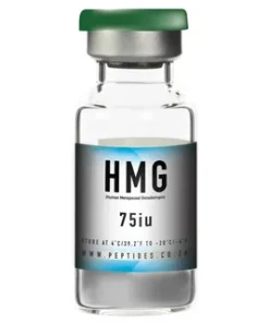 Buy HMG Peptide Online